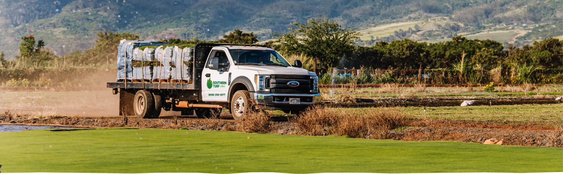 Southern Turf Hawaii pickup truck driving a load of sod mats and driving the turfgrass mats across fields of bermudagrass on the farm